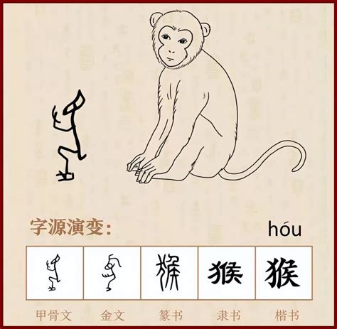 猴字|猴（汉语汉字）